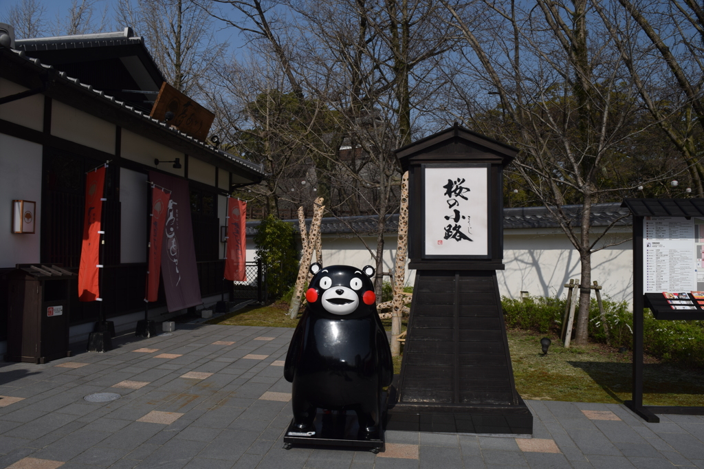 DSC_0903 桜の小路