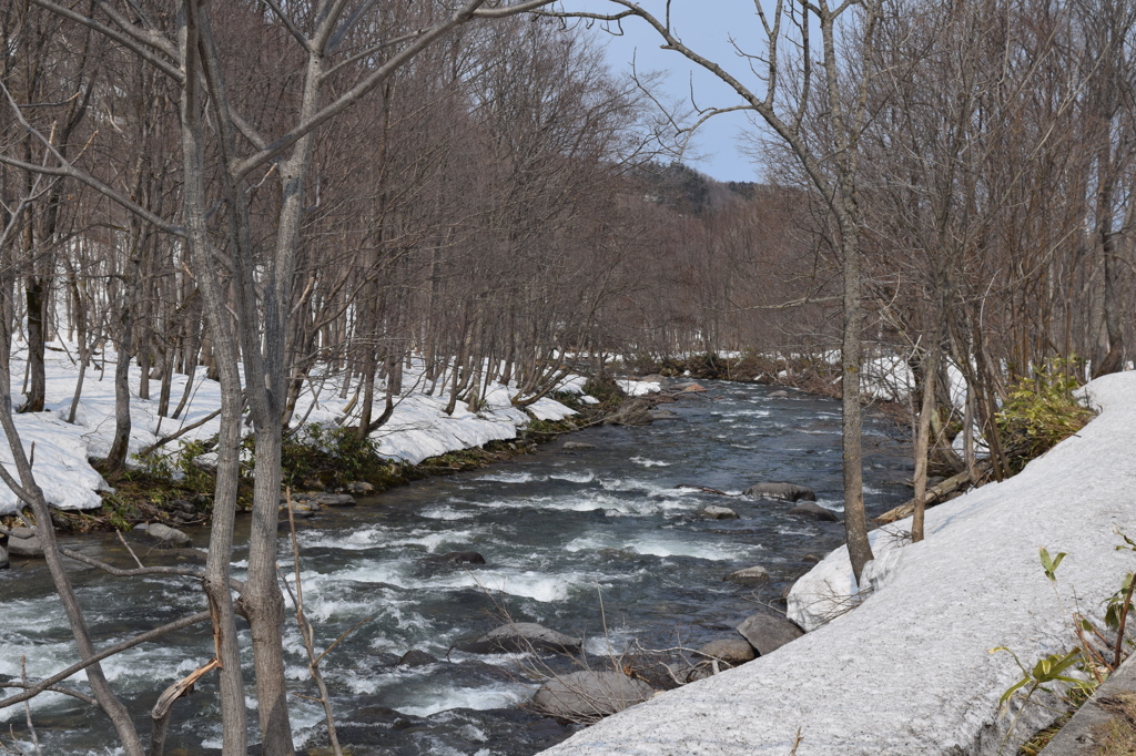 DSC_1392　雪解けの小川