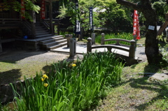 DSC_0481 中尊寺H26.5