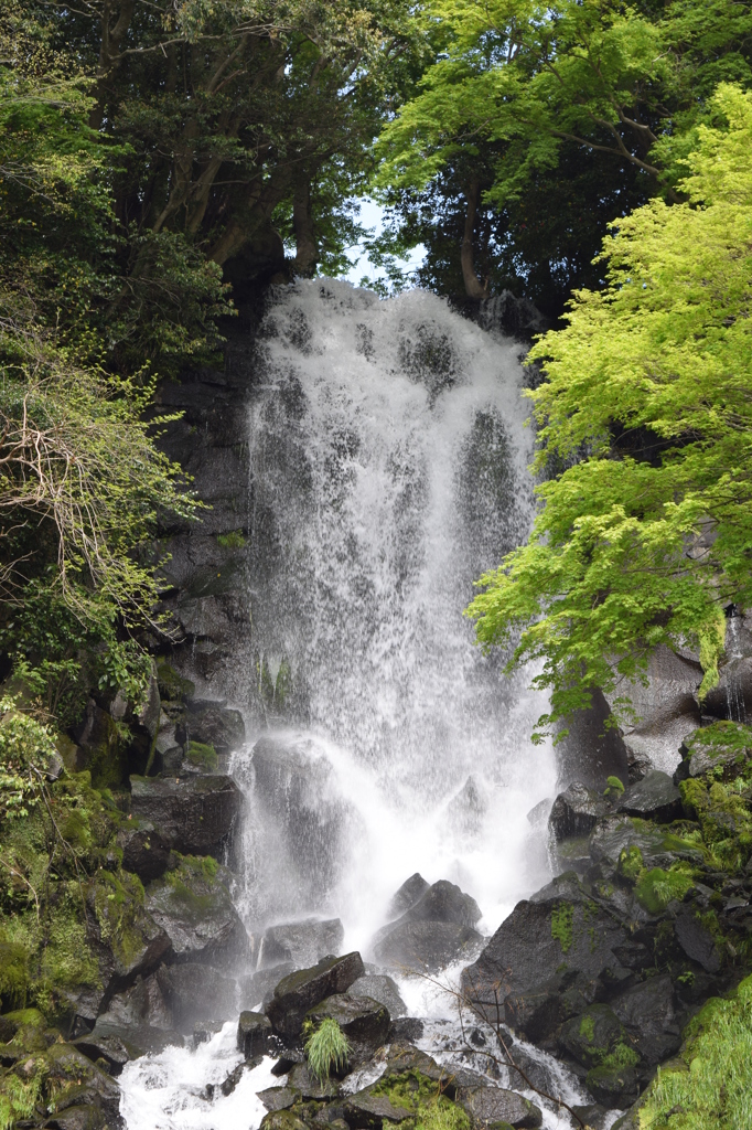 DSC_0436　朝日滝H26.5