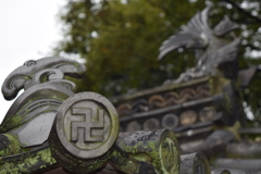 DSC_1474　岡山後楽園H28.9