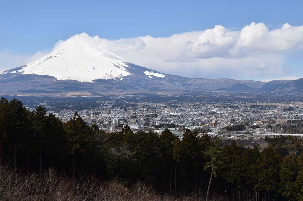 DSC_0121　箱根H26.3