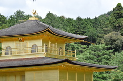 DSC_0406　金閣寺H26.9