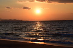 DSC_0485 伊良湖岬H27.2