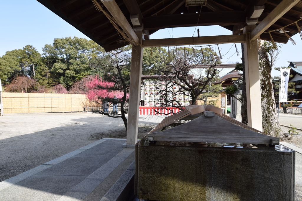 DSC_0786 結城神社H27.2