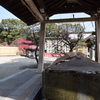 DSC_0786 結城神社H27.2