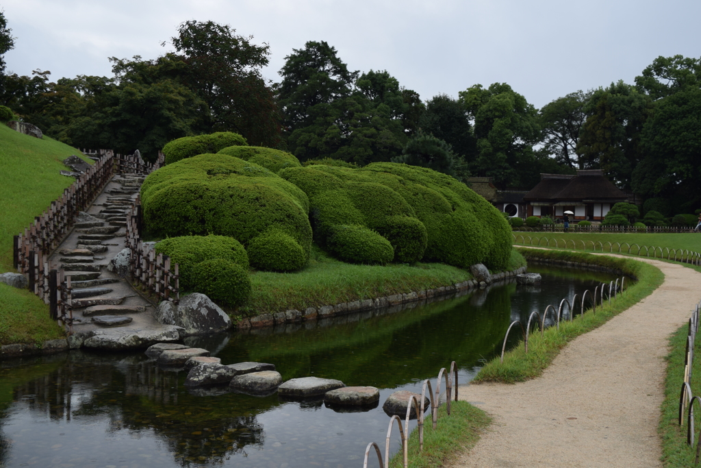 DSC_1470　岡山後楽園H28.9
