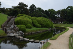 DSC_1470　岡山後楽園H28.9