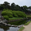 DSC_1470　岡山後楽園H28.9