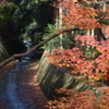 DSC_1183　北野天満宮H29.11