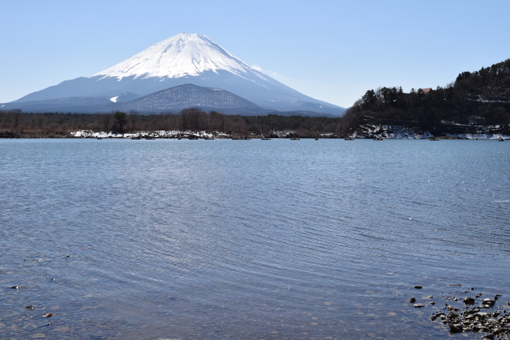 DSC_0298　精進湖H26.3