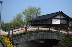 DSC_0359　となみH26.4