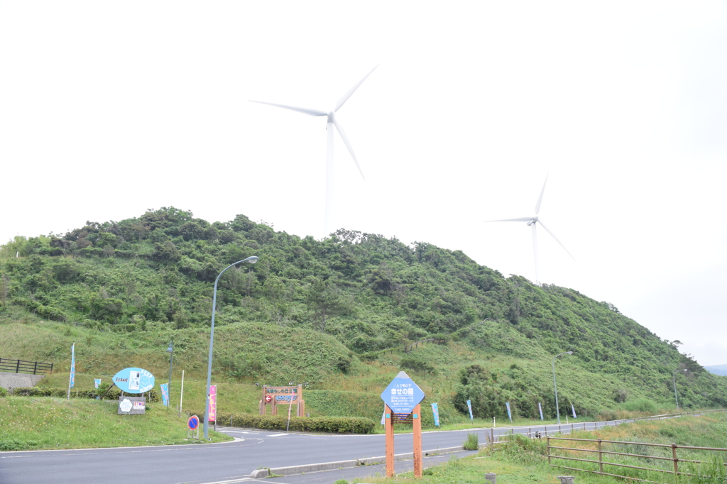 DSC_0346久村海岸H26.6