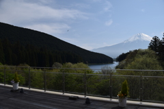 DSC_0408 田貫湖H26.5