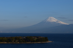 DSC_0544 大瀬崎H27.2