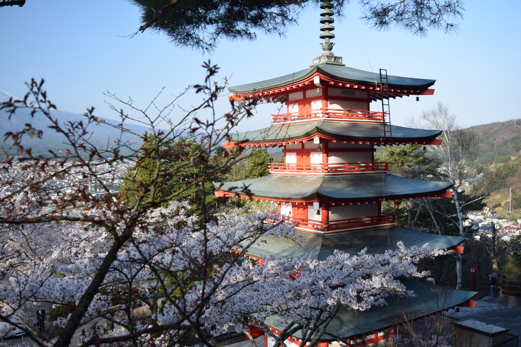 DSC_0389 新倉浅間神社H27.4