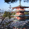 DSC_0389 新倉浅間神社H27.4