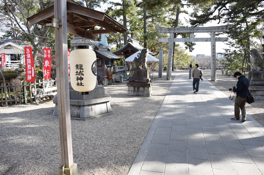 DSC_0062　岡崎城H26.3