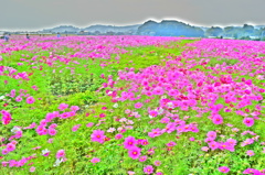 DSC_1120　掛川シオーネ