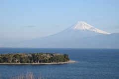 DSC_0556 大瀬崎H27.2