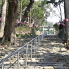 DSC_0037　龍尾神社H26.3