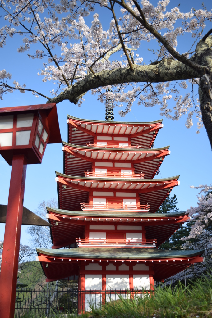 DSC_0402 新倉浅間神社H27.4