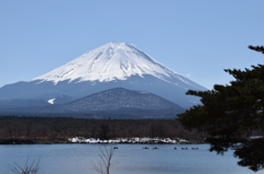 DSC_0301　精進湖H26.3