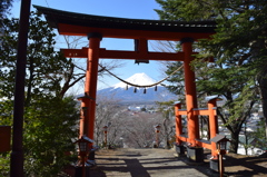 DSC_0247　新倉浅間H26.3