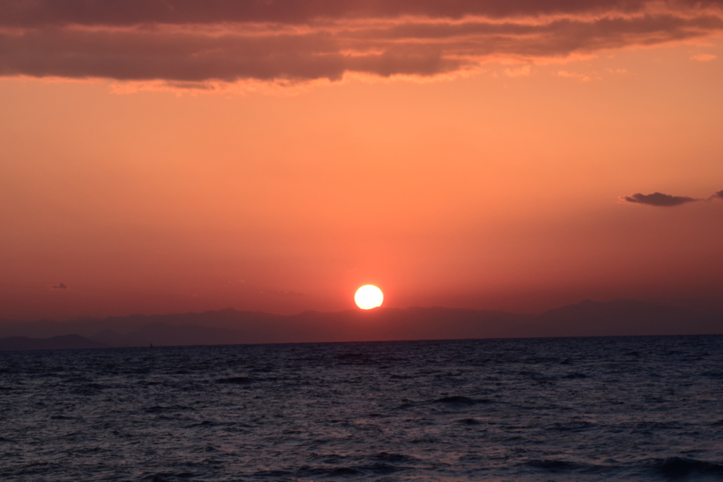 DSC_0499 伊良湖岬H27.2