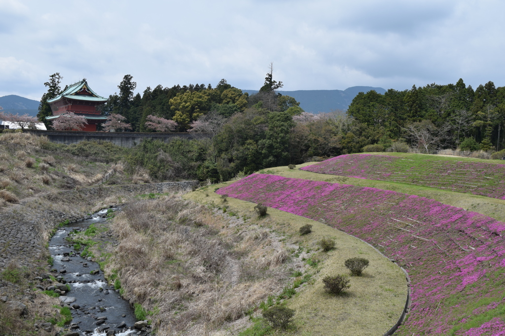 DSC_0394 大石寺H27.4