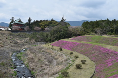 DSC_0394 大石寺H27.4