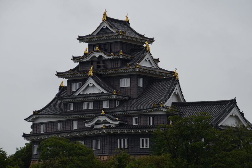 DSC_1466　岡山後楽園H28.9
