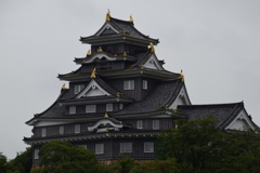 DSC_1466　岡山後楽園H28.9