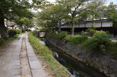 DSC_0354銀閣寺への小径