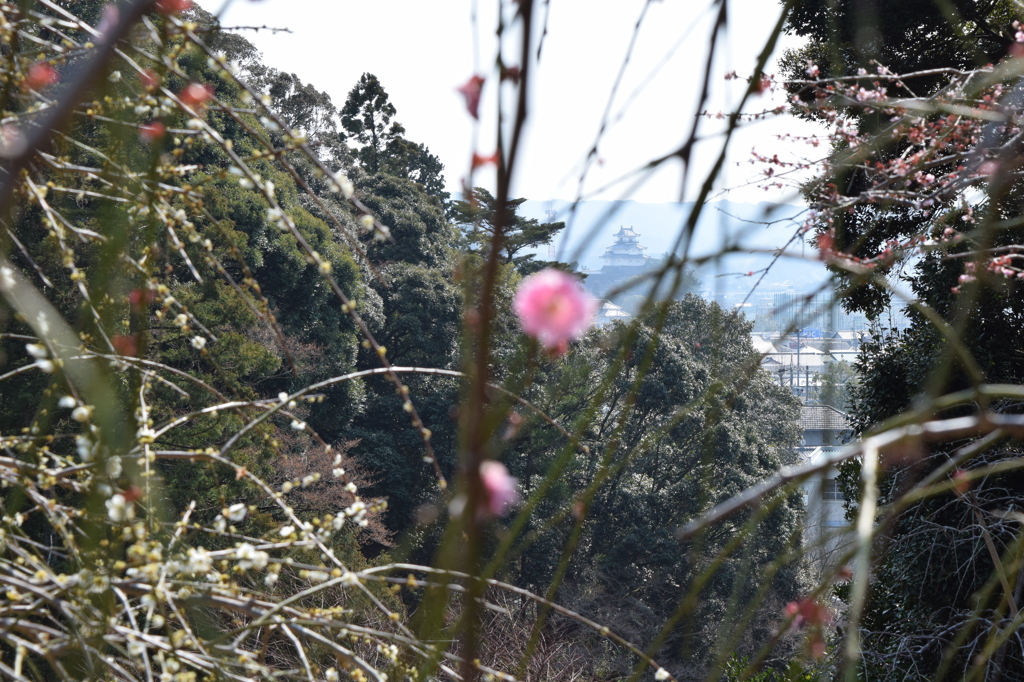 DSC_0034　龍尾神社H26.3