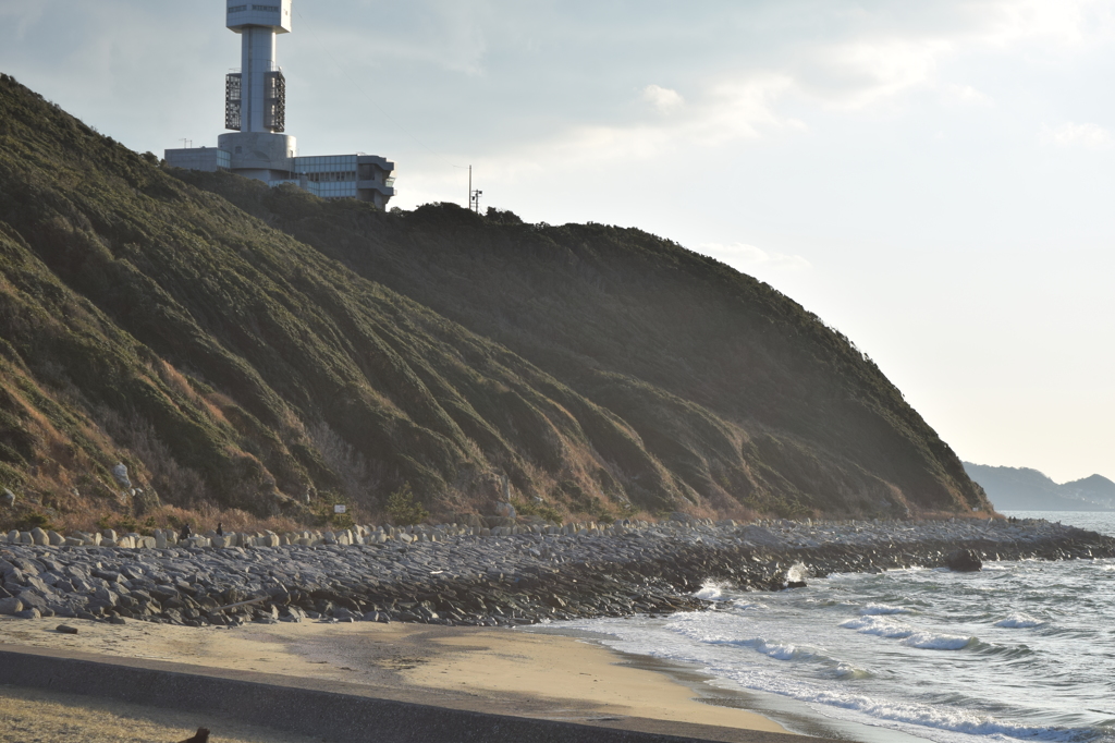 DSC_0469 伊良湖岬H27.2