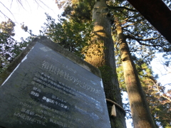 CIMG1549　箱根神社H26.3