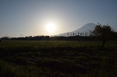 DSC_0357　朝霧高原H26.5