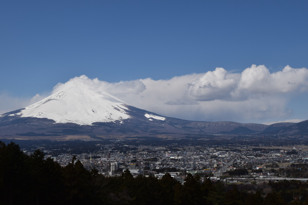 DSC_0122　箱根H26.3