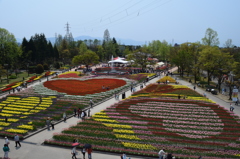 DSC_0384　となみH26.4
