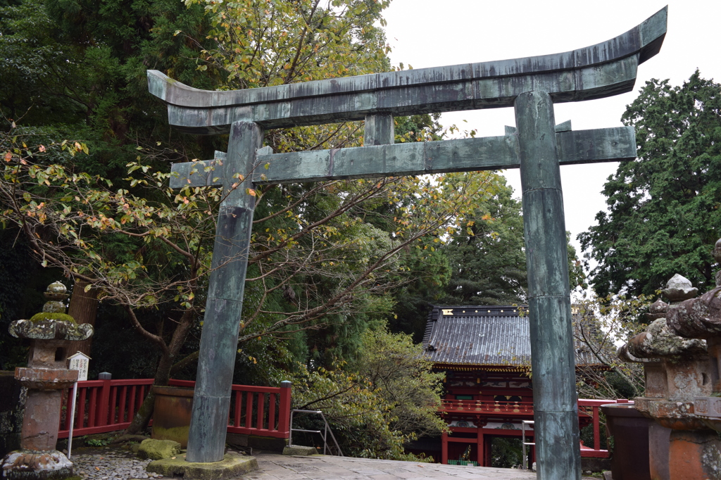 DSC_0357 久能山H26.11