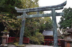 DSC_0357 久能山H26.11