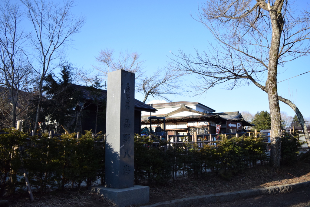 DSC_0217　忍野八海H26.3