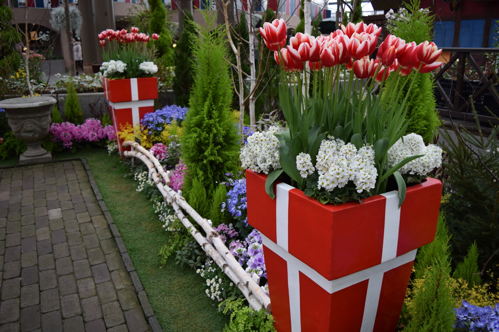 DSC_0034　　ﾃﾞﾝﾊﾟｰｸH26.3