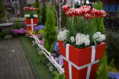 DSC_0034　　ﾃﾞﾝﾊﾟｰｸH26.3