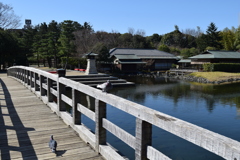 DSC_1307 白鳥庭園H30.3