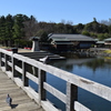 DSC_1307 白鳥庭園H30.3