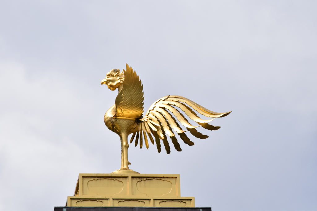 DSC_0418　金閣寺H26.9