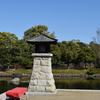 DSC_1311 白鳥庭園H30.3