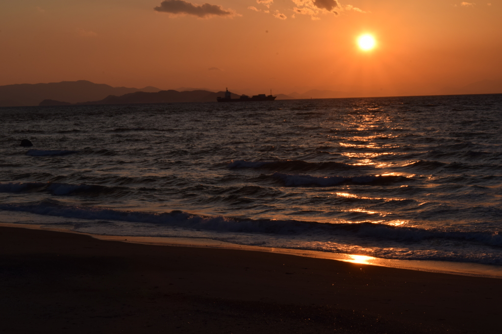 DSC_0487 伊良湖岬H27.2